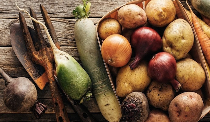 tuberi