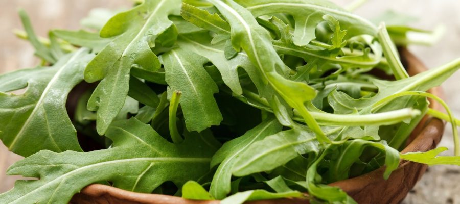 fresh arugula salad