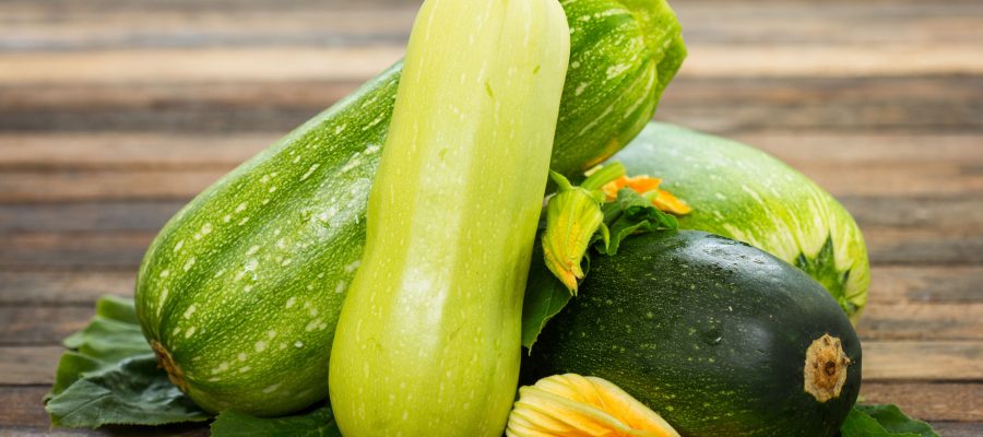 ENERGY CENTER BLOG zucchine
